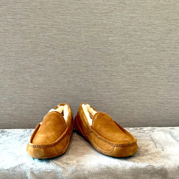 UGG ASCOT - Picture 3 of 4